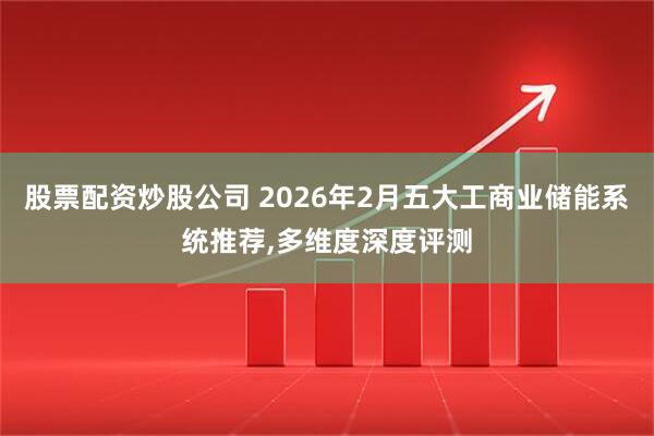 股票配资炒股公司 2026年2月五大工商业储能系统推荐,多维度深度评测